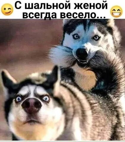 С шальной женой всег_ а весело