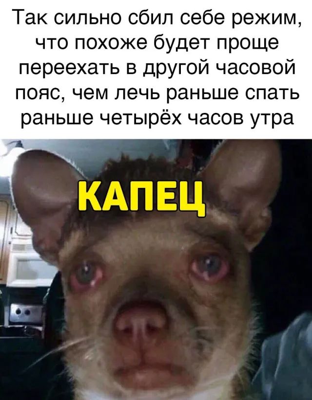 Так сильно сбил себе режим что похоже будет проще переехать в другой часовой пояс чем лечь раньше спать раньше четырёх часов утра
