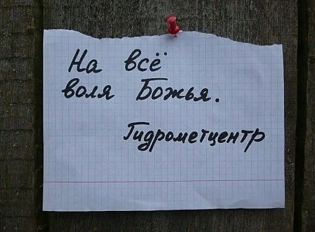Да всё гом 50ти оде тегиЪ