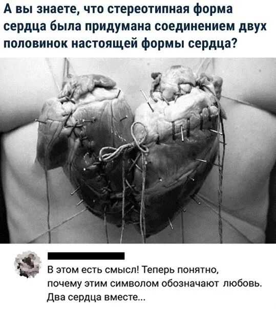 А вы знаете что стереотипная форма сердца была придумана соединением двух половинок настоящей формы сердда Ь _ ХР _ р В этом есть смысл Теперь понятно почему этим символом обозначают любовь два сердца вместе
