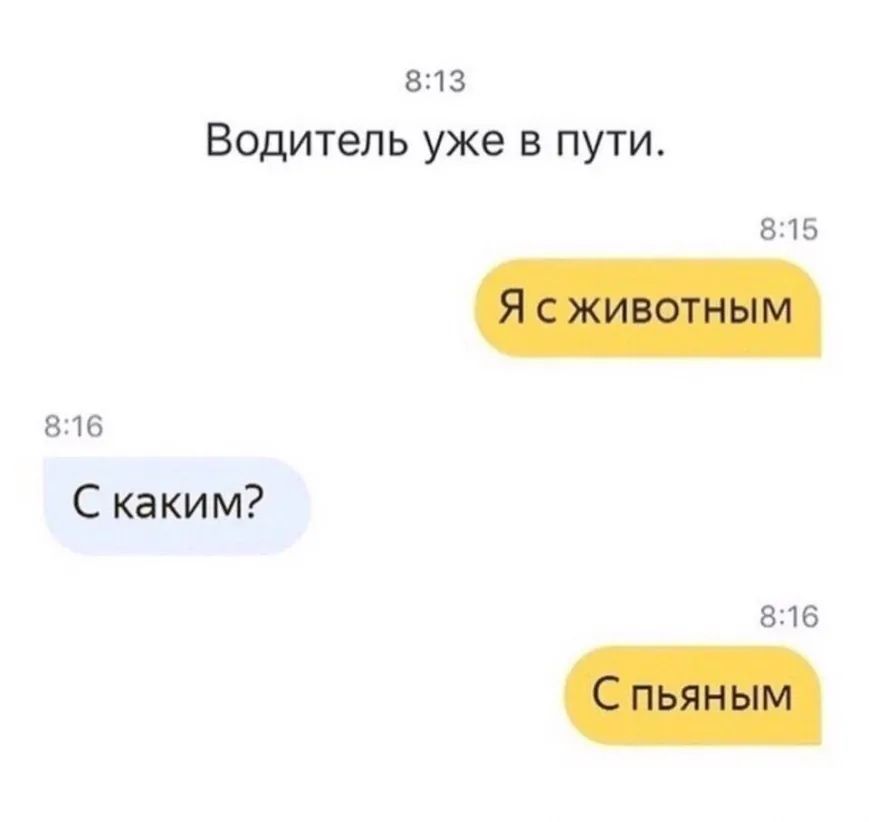 813 Водитель уже в пути 815 816 С каким 816