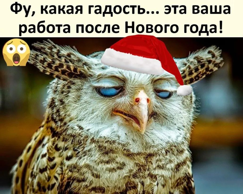 Фу какая гадость эта ваша