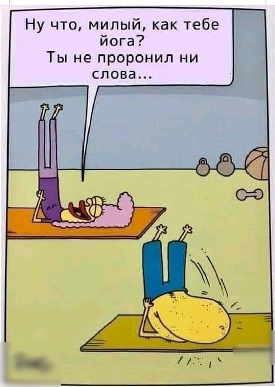 Ну что милый как тебе йога Ты не проронил ни слова