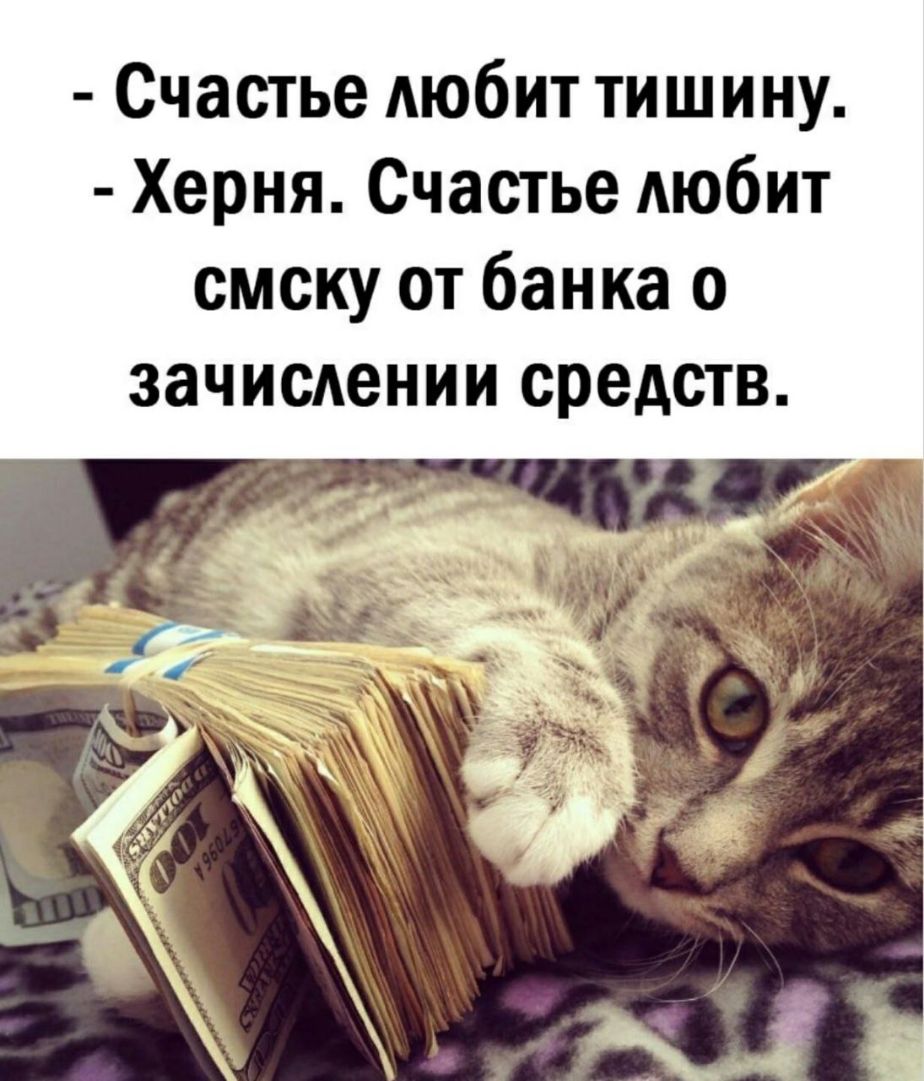 Счастье Аюбит тишину Херня Счастье АЮбИТ смску от банка о зачисАении средств