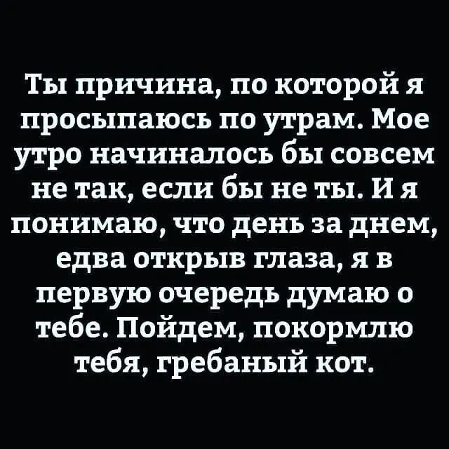 Ты причина по которой я просыпаюсь по утрам Мое утро начиналось бы совсем не так если бы не ты И я понимаю что день за днем едва открыв глаза я в первую очередь думаю о тебе Пойдем покормлю тебя гребаный кот