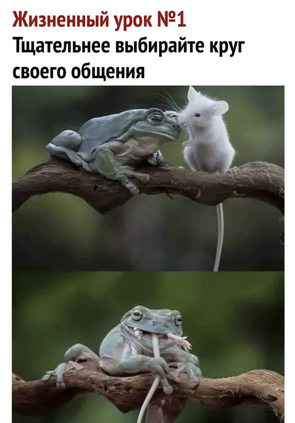 Жизненный урок 1 Тщательнее выбирайте круг своего общения