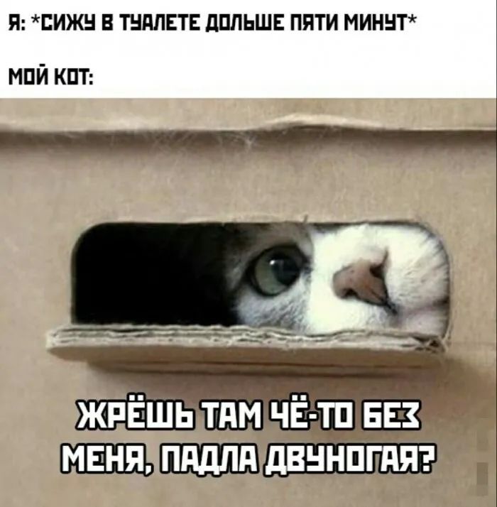 Я ЕИЖН В ТНМЕТЕ дПЛЬШЕ ПЯТИ МИННТ МПЙ КПТ __ э в ЙЁГТЫд ЖРЁШЬ тдм ЧЁ ТП 553 мвня пддпп двннпгдяэ
