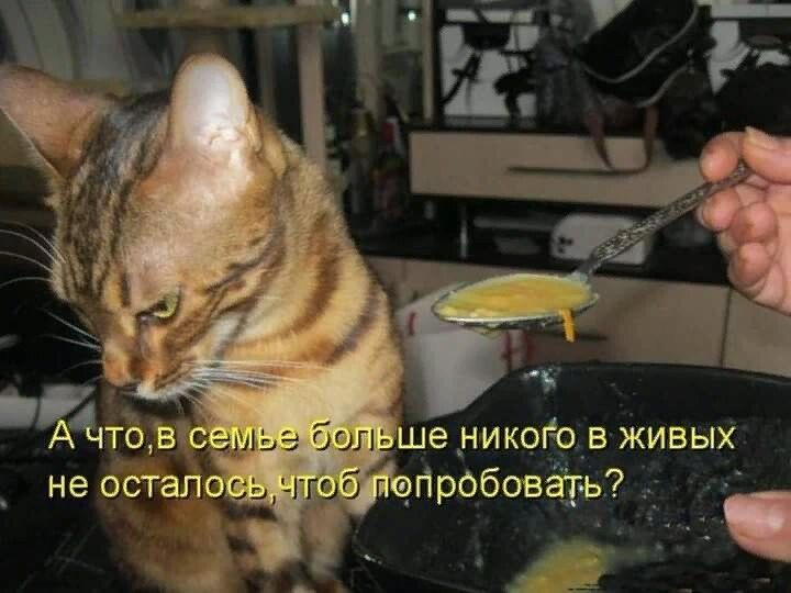 3 бил