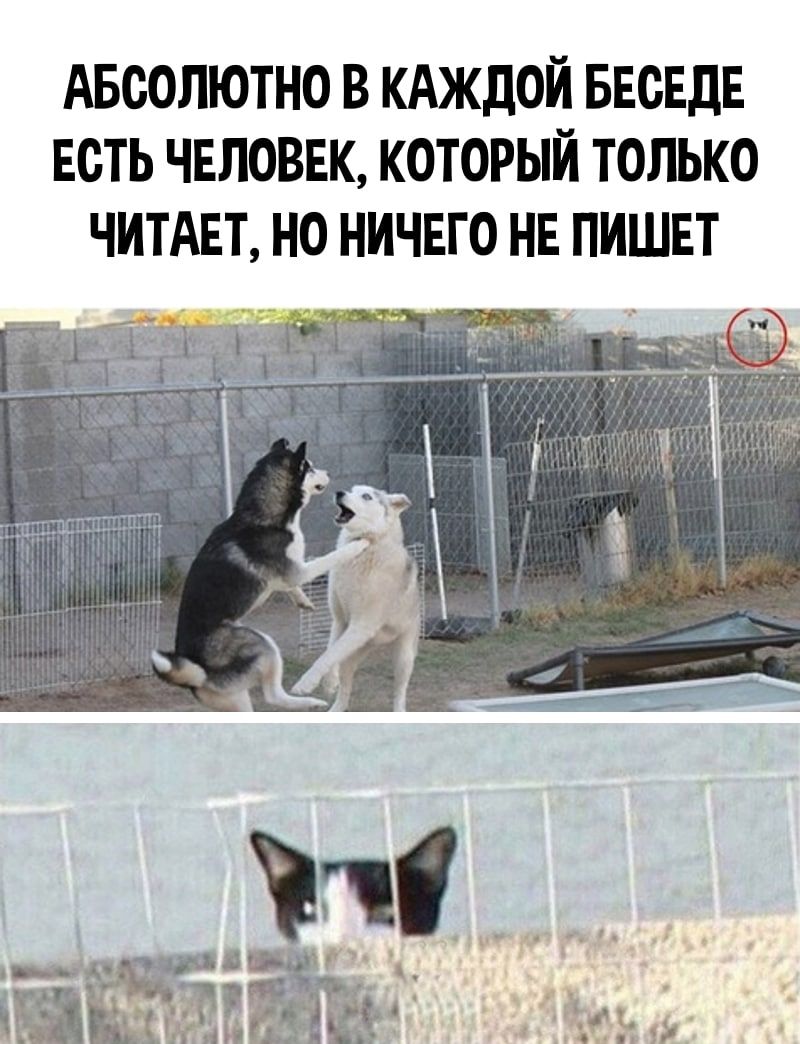 АБоолютно в КАЖДОЙ БЕСЕдЕ Есть человек который только ЧИТАЕТ но ничвго НЕ пишнт Чу