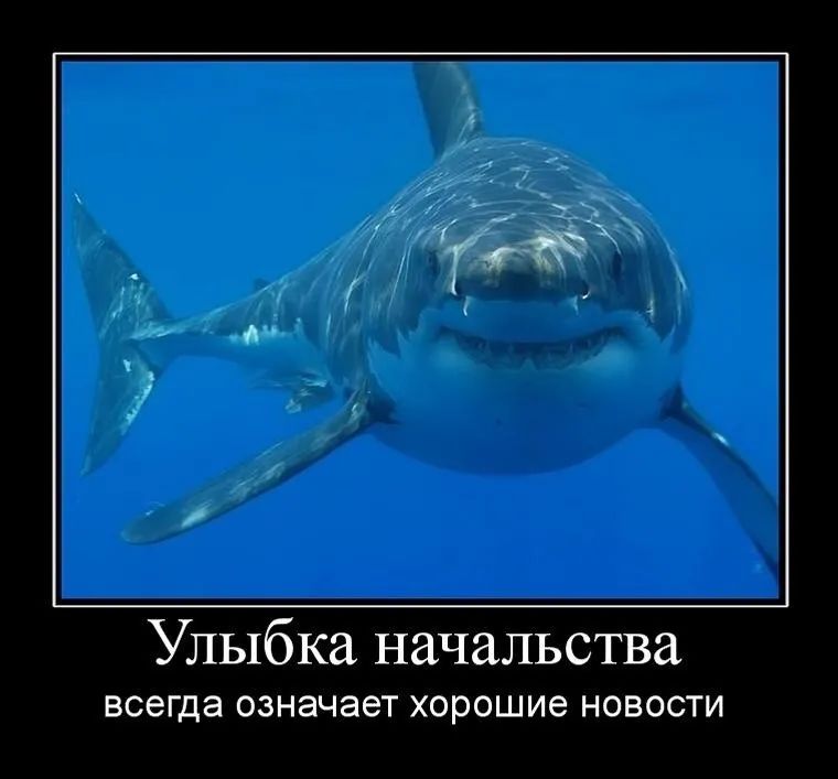 СГ Улыбка начальства всегда ОЗНЭЧЭЭТ ХОРОШИЭ НОВОСТИ