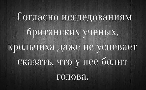 Согласно исследованиям британских ученых крольчихё даже не успевает сказать что у нее болит голова