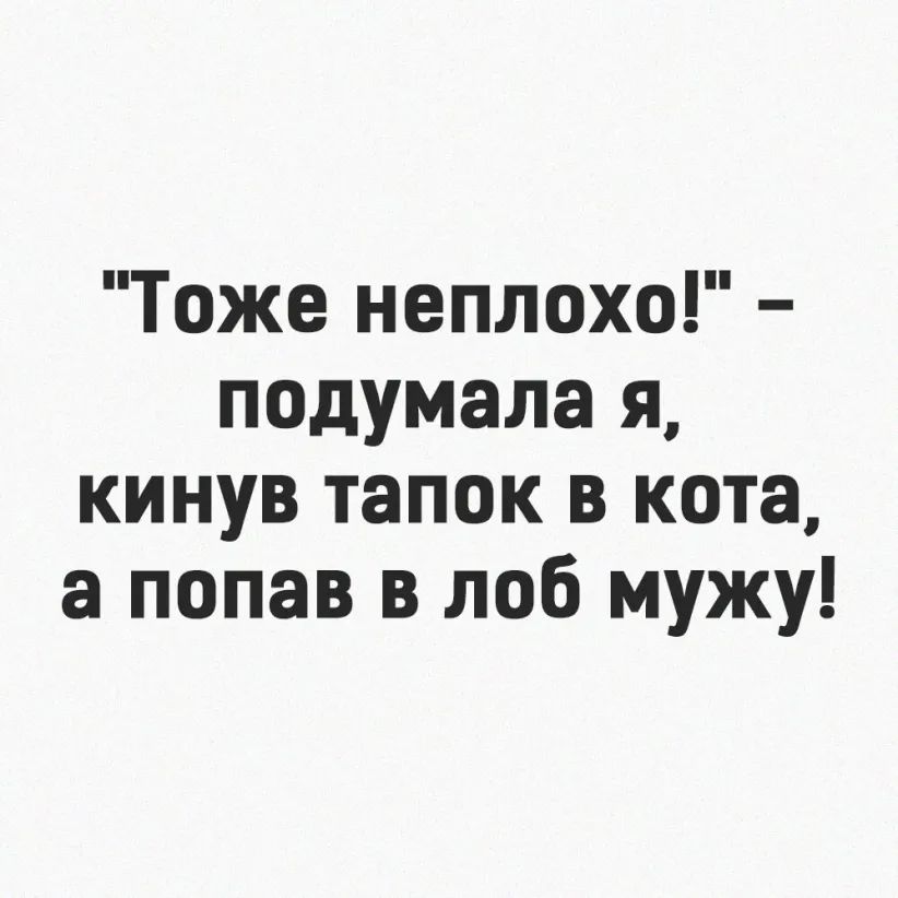 Тоже неплохо подумала я кинув тапок в кота а попав в лоб мужу