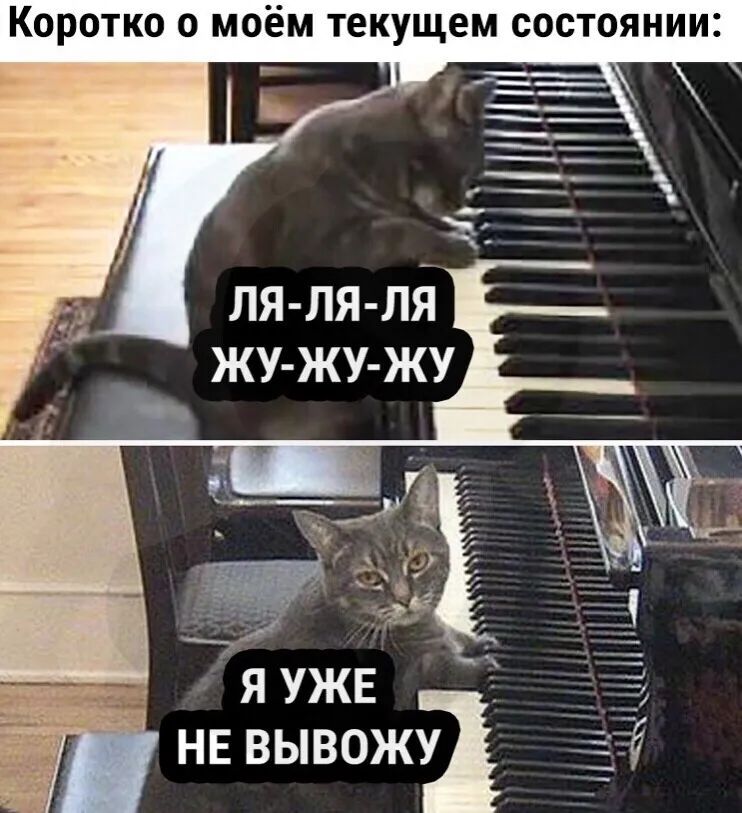 Коротко о моём текущем состоянии