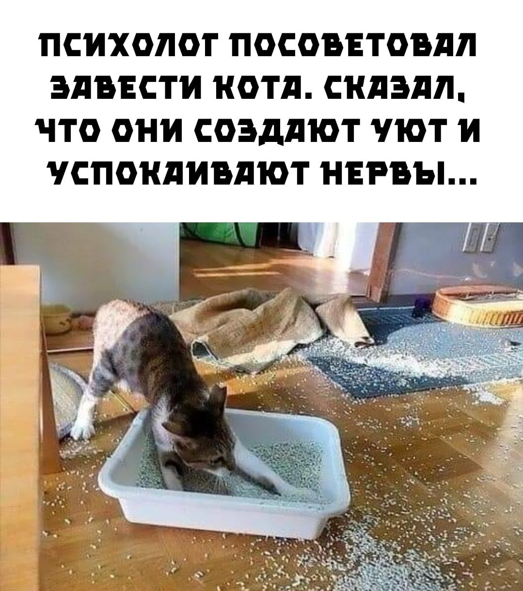 ПСИХОЛОГ ПОСОБЕТОВЛЛ ЭЛБЕСТИ НОТд СКдЭдЛ ЧТО ОНИ СОЭддіОТ ПОТ И СПОКЛИБЛЮТ НЕРВЫ