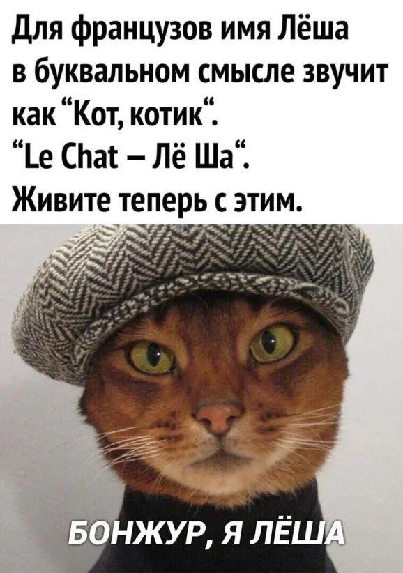 Для французов имя Лёша в буквальном смысле звучит как Кот коти к Ъе СЬат Лё Ша ЖИВИТЕ Теперь С ЭТИМ