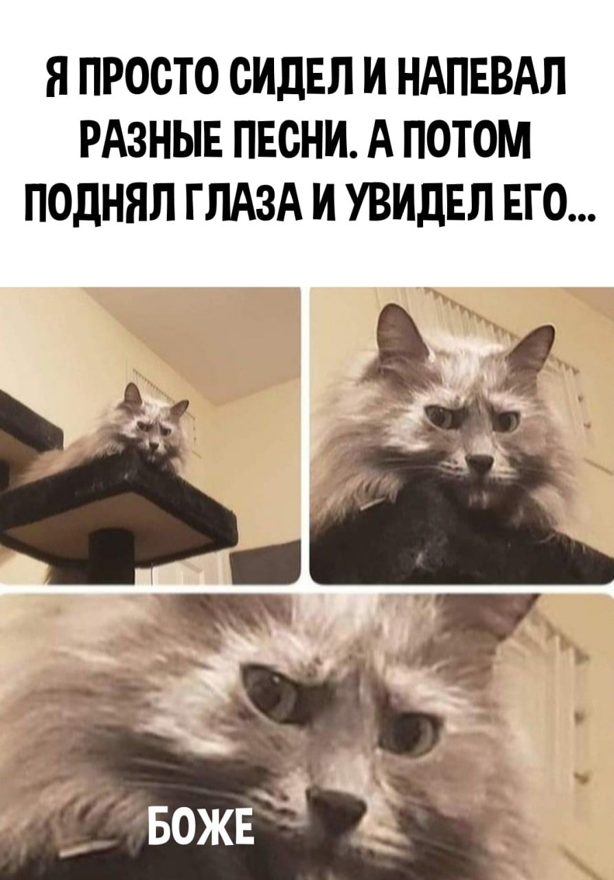 Я ПРООТО ОИДЕЛ И НАПЕВАЛ РАЗНЫЕ ПЕСНИ А ПОТОМ ПОДНЯЛ ГЛАЗА И УВИДЕЛ ЕГО