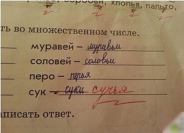 чтит хпоп_ья_ па шато 7 ъ ГЬ во множественном числе _ муравей _ соловей _ перо _ СУК Йи и писать отвеТ 1