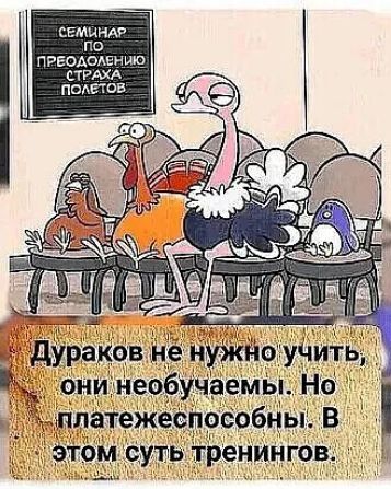 семцимч по пггодомныю стгдхд пмвтов
