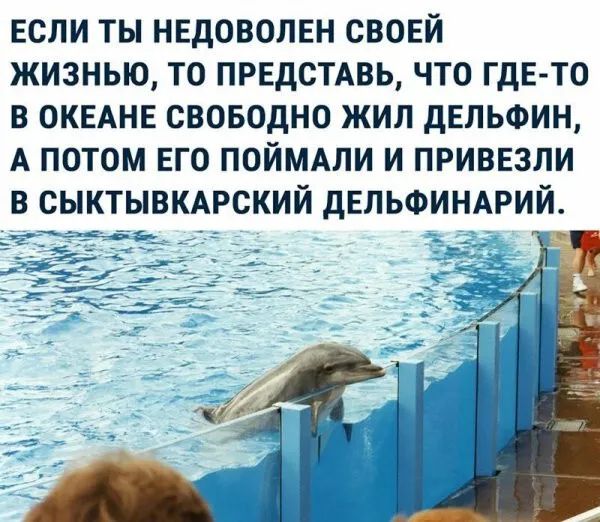 ЕСЛИ ты нвдовопЕн свовй жизнью то пиздецвь что ГДЕ ТО в ОКЕАНЕ своводно жил дЕЛЬФИН А потом ЕГО ПОЙМАЛИ и привезли в сыктывмрский дЕПЬФИНАРИЙ