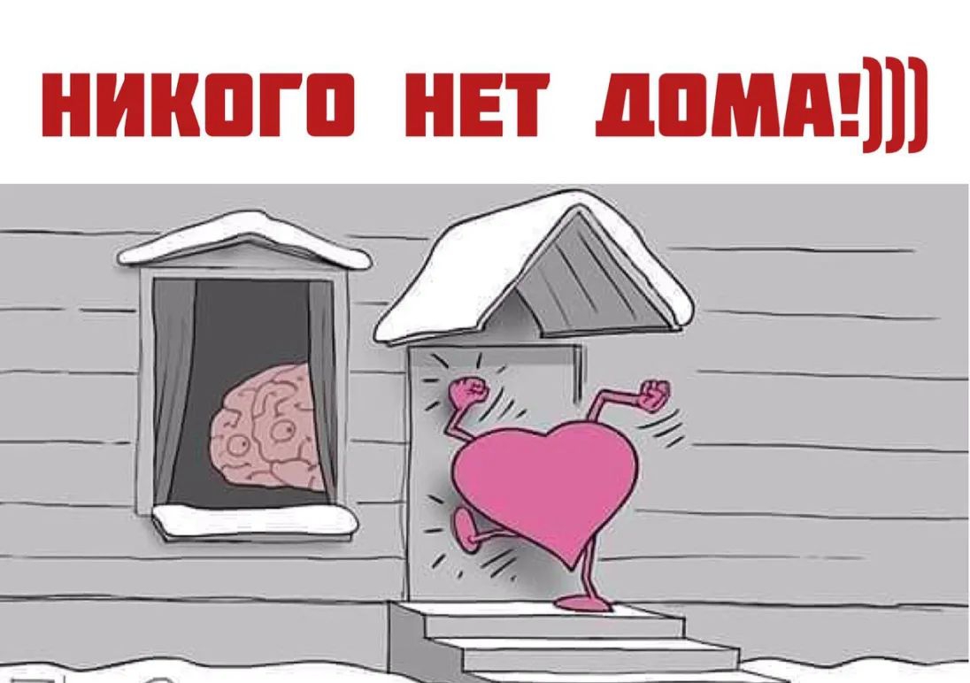 ниипгп нвт дпмшш