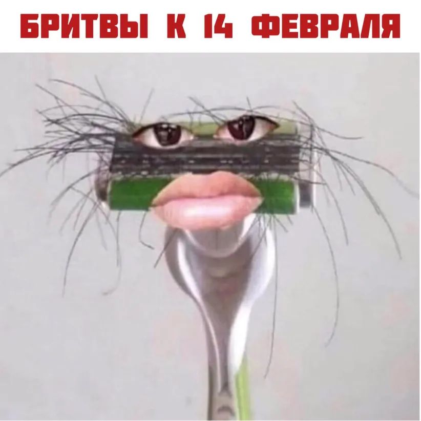 БРИТВЫ к ФЕВРАЛЯ