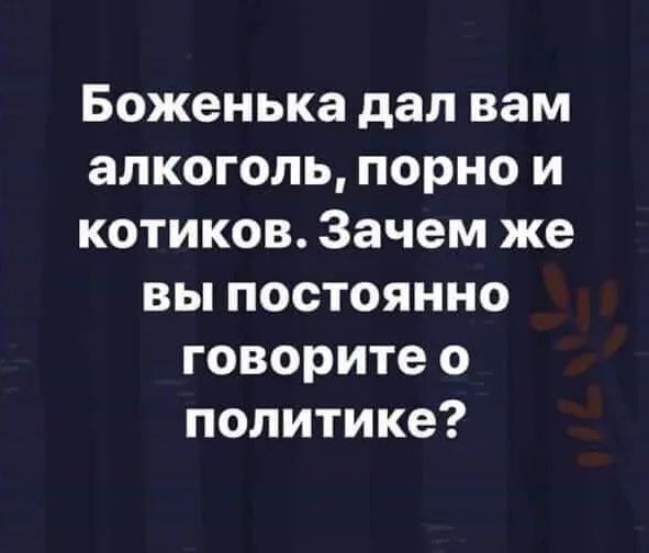 Боженька дал вам алкоголь порно и котиков Зачем же вы постоянно говорите о политике