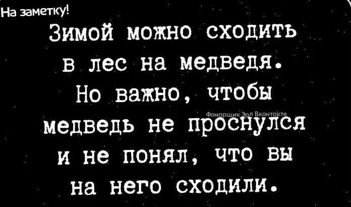 На заметку Зимой можно сходить в лес на медведя Н важно чтобы медведь не пбёёйужая и не понял что вы На нег Сходили