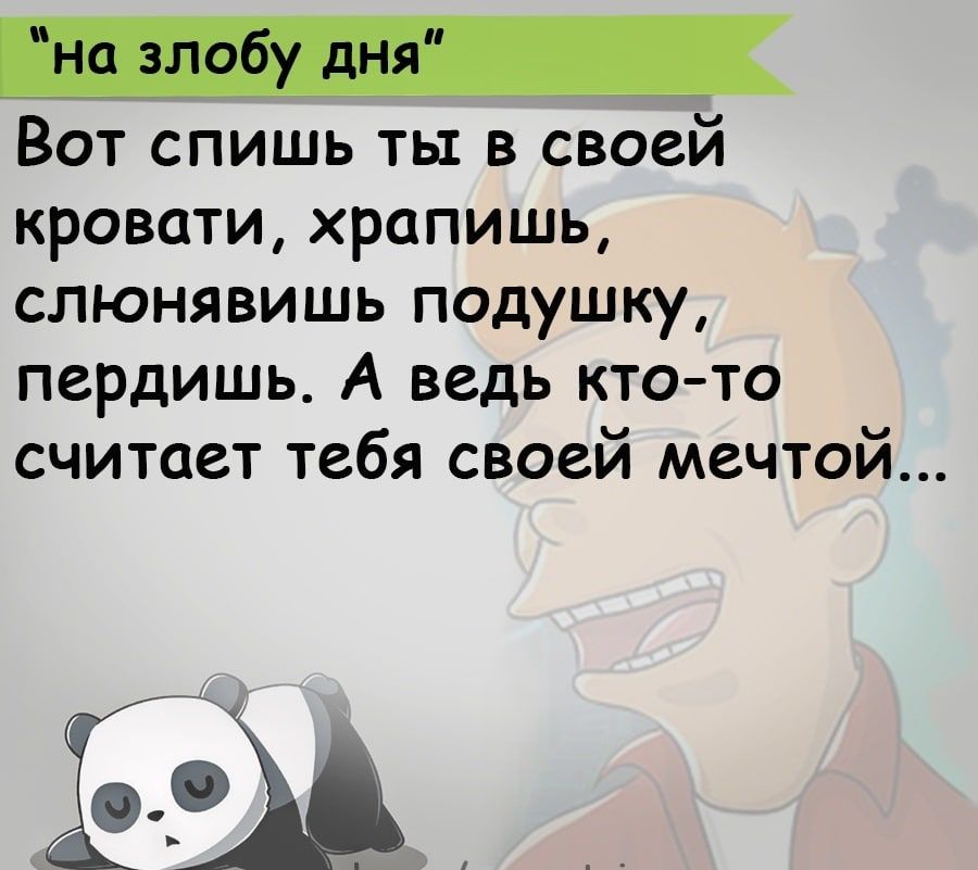 Вот спишь ты в своей кровати храпишь слюнявишь подушку пердишь А ведь кто то считает тебя своей мечтой