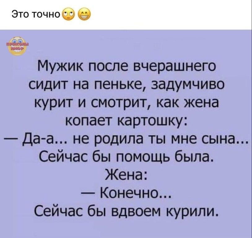 Это точноф Мужик после вчерашнего сидит на пеньке задумчиво курит и смотрит как жена копает картошку Да а не родила ты мне сына Сейчас бы помощь была Жена Конечно Сейчас бы вдвоем курили
