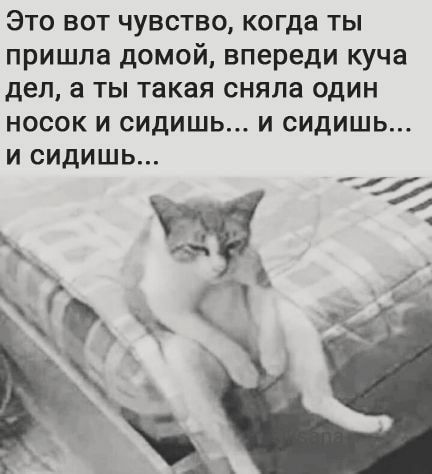 Это вот чувство когда ты пришла домой впереди куча дел а ты такая сняла один НОСОК И СИДИШЬ И СИдИШЬ И СИДИШЬ