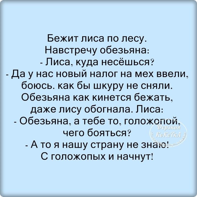 Бежит лиса по лесу Навстречу обезьяна Лиса куда несёшься Да у нас новый налог на мех ввели боюсь как бы шкуру не сняли Обезьяна как кинется бежать даже лису обогнала Лиса Обезьяна а тебе то гопожопой чего бояться А то я нашу страну не знаю С гопожопых и начнут