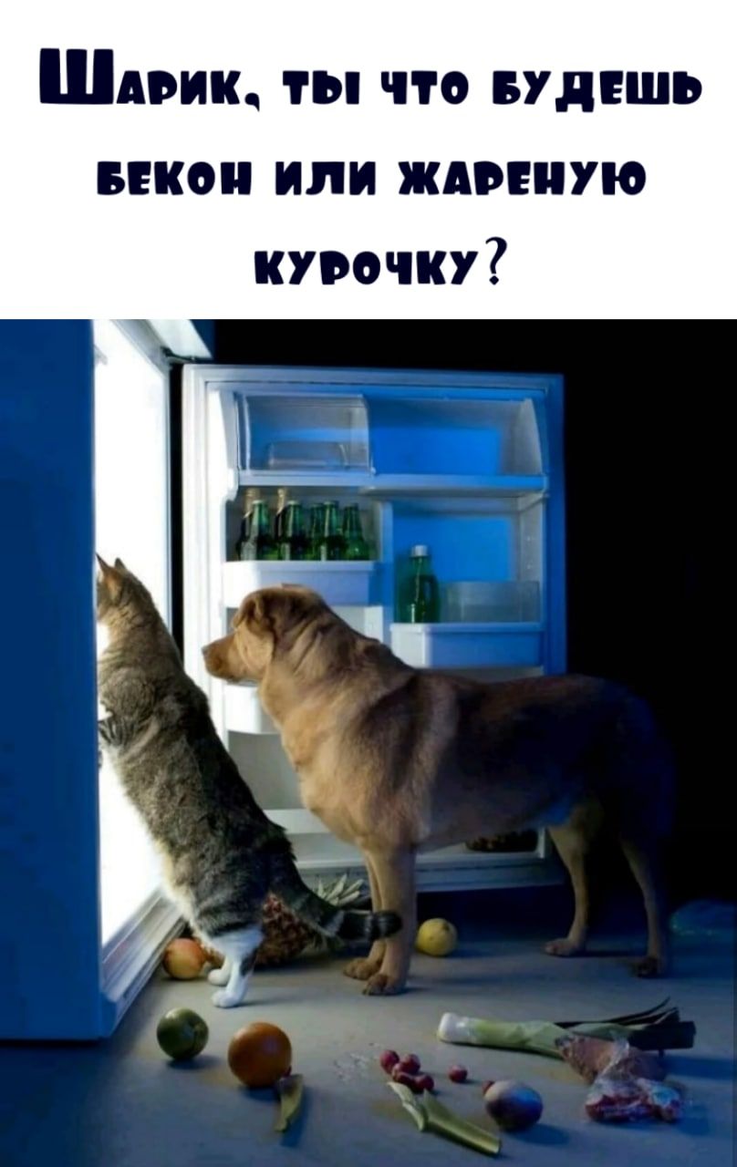 Шдвик ты что лишь икон или ждпиую курочку