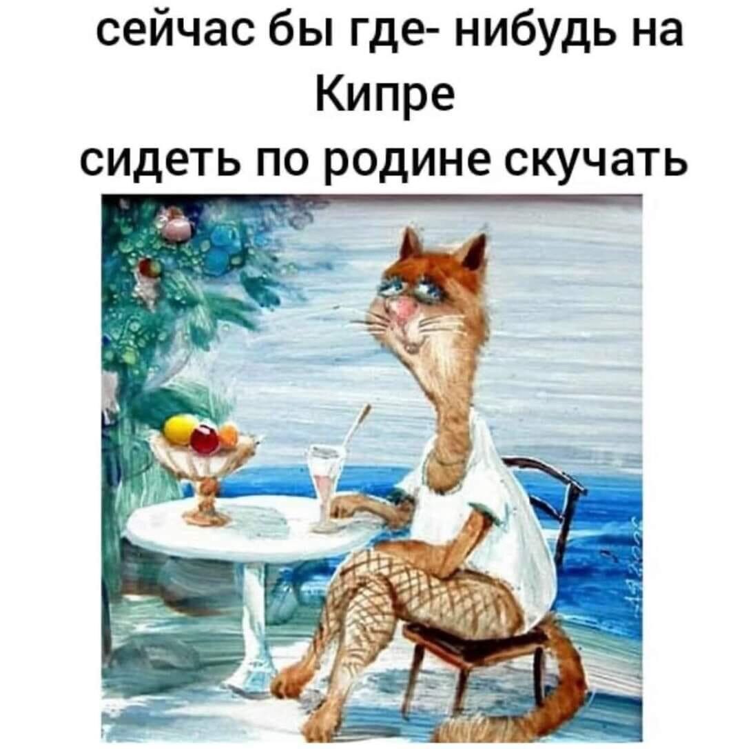 сейчас бы где нибудь на Кипре