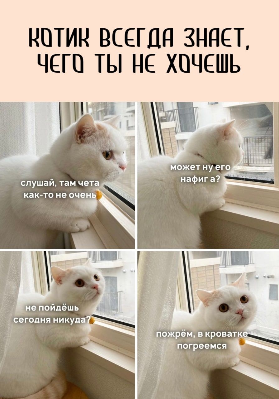 НПТИН ВСЕГЦП ЗНПЕТ ЧЕГО ТЫ НЕ ХОЧЕШЬ щ га _ _ 3013 1 к ъ_ _у очетн его __ у _ л шаитамчета на ига 7 а неоче епойдёшь