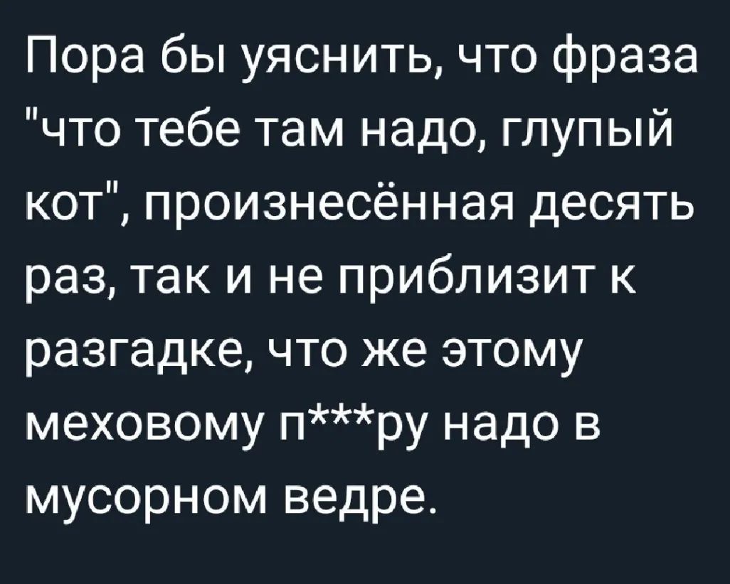 Пора бы уяснить что фраза что тебе там надо глупый кот произнесённая десять раз так и не приблизит к разгадке что же этому меховому пру надо в мусорном ведре