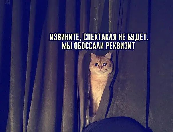 ИЗВИНИТЕ ППЕКТАКАЯ НЕ БНДЕТ МЫ ПБПСЕААИ РЕКВИЗИТ