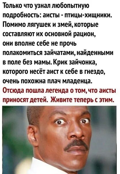 Только что узнал любопытную подробность аисты птицы хищники Помимо лягушек и змей которые составляют их основной рацион они вполне себе не прочь полакомиться зайчатами найден ными в поле без мамы Крик зайчонка которого несёт аист к себе в гнездо очень похожна плач младенцд Отсюда пошла легенда о томчто аисты приносят детей Живите теперь с этим