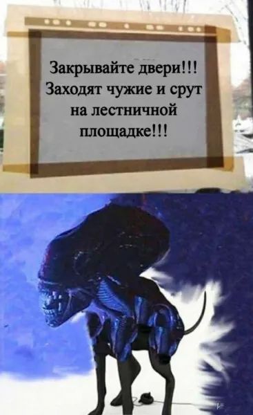 Зшрнвайте двери Заходят чужие и срут на леспшчной шющвдке
