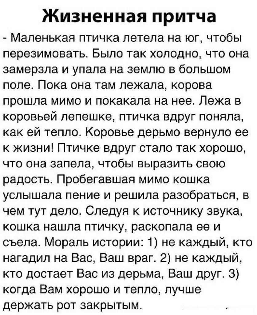Жизненная притча Маленькая птичка летела на юг чтобы перезимовать Было так холодно что она замерзла и упала на землю в большом поле Пока она там лежала корова прошла мимо и покакала на нее Лежа в коровьей лепешке птичка вдруг поняла как ей тепло Коровье дерьмо вернуло ее к жизни Птичке вдруг стало так хорошо что она запела чтобы выразить свою радость Пробегавшая мимо кошка услышала пение и решила 