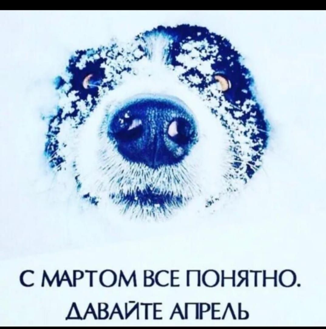 С МАРТОМ ВСЕ ПОНЯТНО ААВАЙТЕ АПРЕАЬ