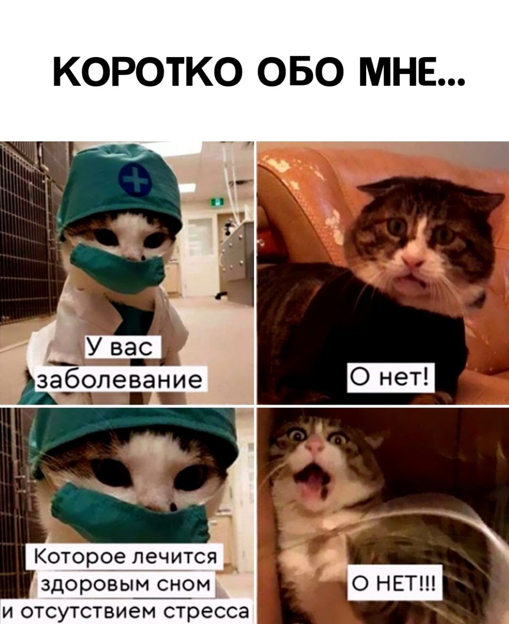КОРОТКО ОБО МНЕ Которое лечится здоровым сном Ь и отсутствием стресса