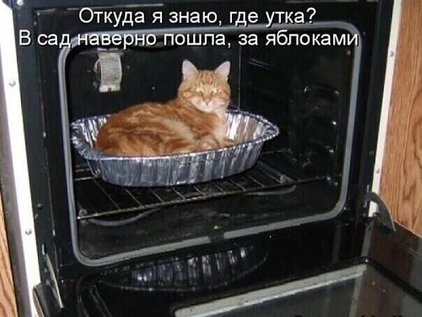 ч _ _ __ Откудаязнаюг е шла за яблокам