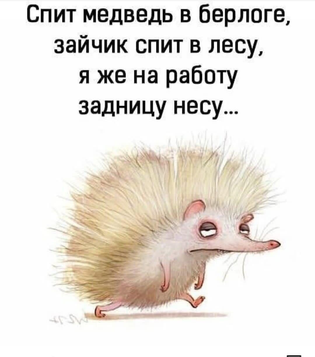 Спит медведь в берлоге зайчик спит в лесу я же на работу задницу несу