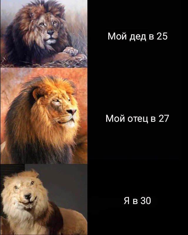 Мой дед в 25 Мой отец в 27 ЯвЗО