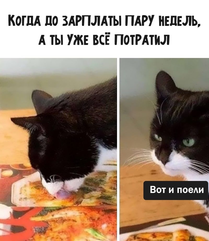 когдА по ЗАРПЛАТЫ ПАРУ нвпвль А ты уже всё потРАтил