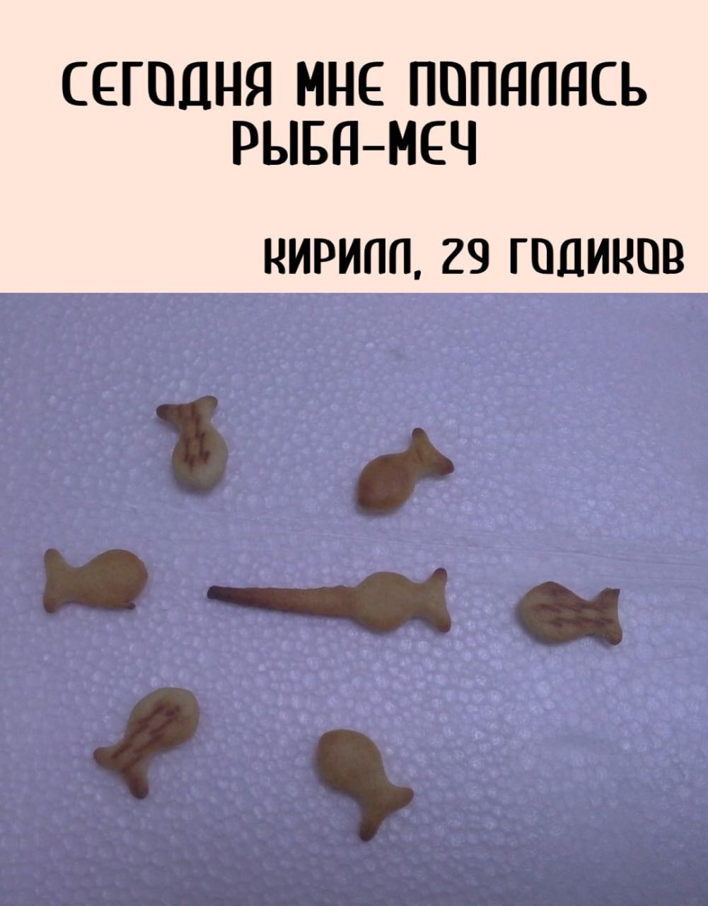 СЕГОДНЯ МНЕ ППППППСЬ РЫБдМЕЧ НИРИПП 29 ГПДИНПВ