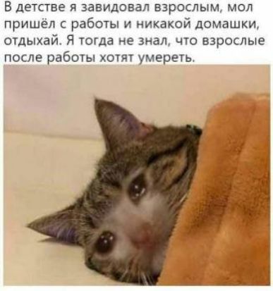 В деТСТВЕ Я ЗЕЕИДПЕЗЛ ВЗРОСЛЫМ МОЛ пришел с работы и никакой домашки ошыхай Я тогда не знаь что взрослые после работы хопи умереть
