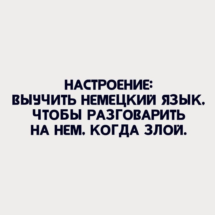 НАСТРОЕНИЕ ВЫНЧИТЬ НЕМЕЦКИЙ ЯЗЫК ЧТОБЫ РАЗГОВАРИТЬ НА НЕМ КОГДА ЗЛОИ