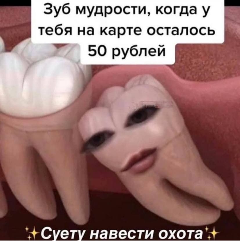 Зуб мудрости когда у тебя на карте осталось 50 рублей Суету навести охота
