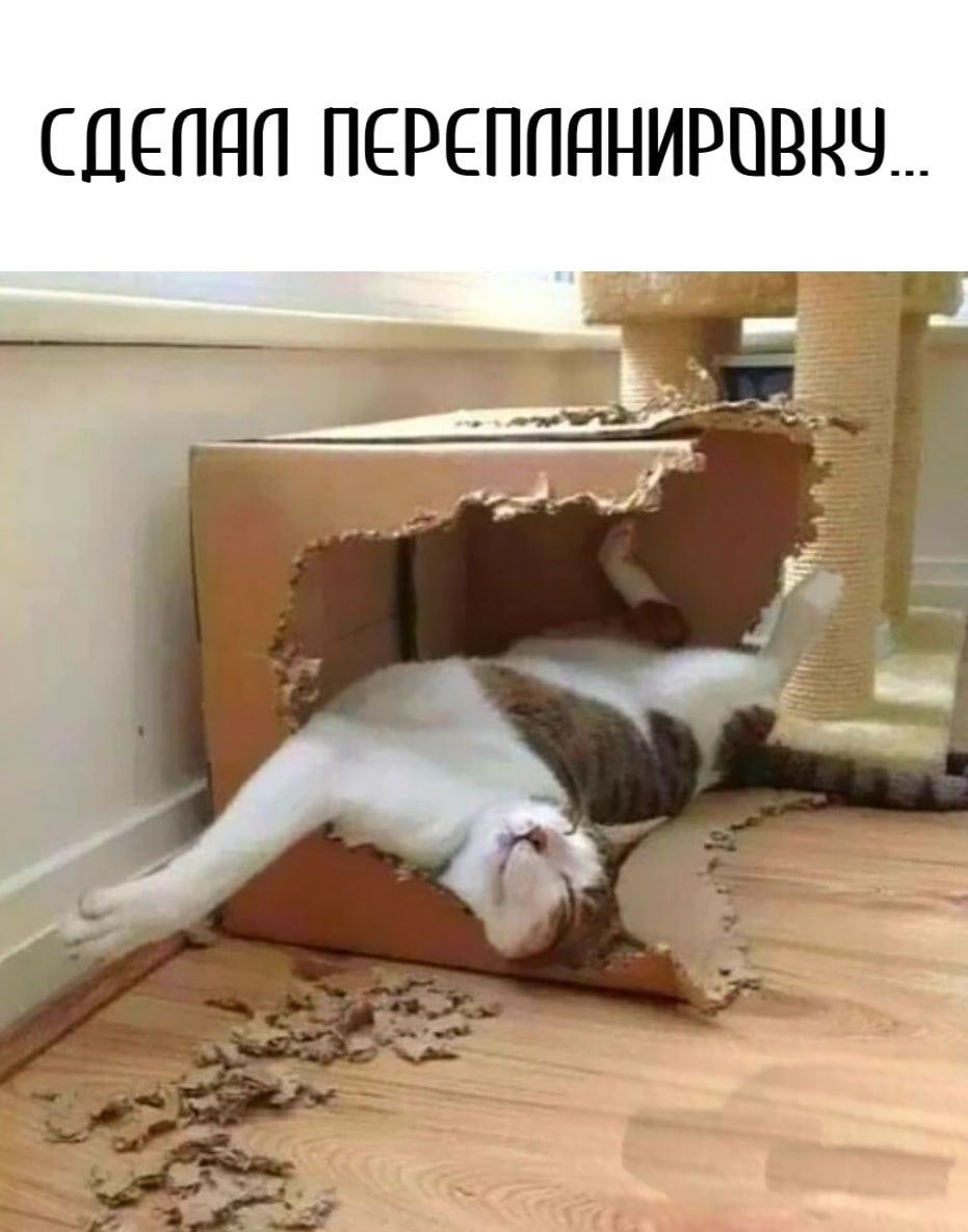 СДЕППП ПЕРЕППННИРПВНЧ